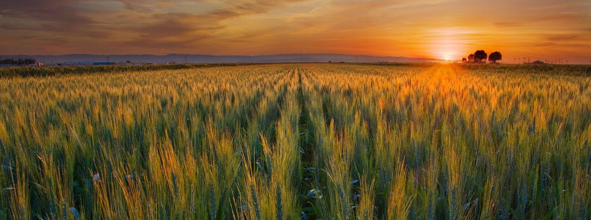 Country road at sunrise — Harvest Funding